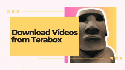 How to Download Videos from Terabox (Comprehensive Step-by-Step Guide)